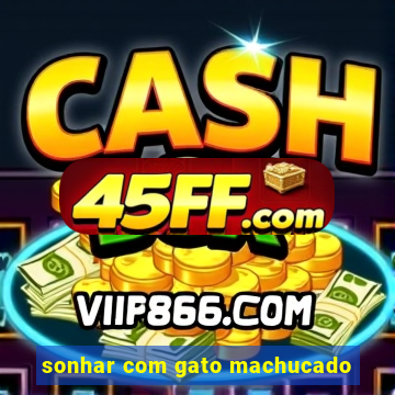 sonhar com gato machucado